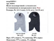 818М-1.jpg
