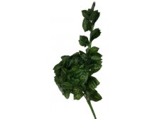 Иск. раст. Каладиум 259.0. 65 см. 707,2 руб.jpg