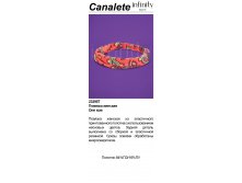 119,06 Canalete .jpg