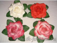 20-287   "" D=21 .,  79.00