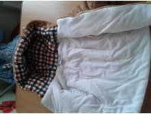 2016-04-09 10.06.17.jpg