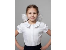 Бл.227 Блузка Белый, голубой, розовый.jpg
