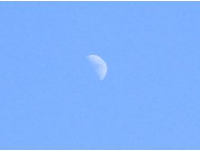 IMG 4211.JPG