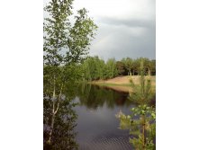 IMG 20160523 173516.jpg