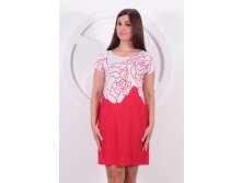 4204(1) р-ры 48-54.jpg