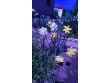 IMG 20160515 113835.jpg