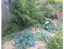 20150726 154004 SM.jpg