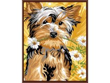 GL5240 цена 520 руб.jpg