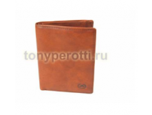 Tony Perotti Vintage 743408-3.png