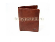 Tony Perotti Vintage 7434082.png