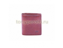 Tony Perotti Vintage 743395-3.png