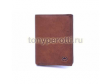 Tony Perotti Vintage 743397-3.png