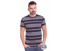 Футболка муж.108286 -цена 531.jpg