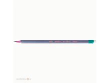Карандаш ч-гр с ластиком Эволюшн полос. 896034 Bic 14,34 р. 1 шт.jpg