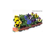Виола Дельта F1 (15) 69.00