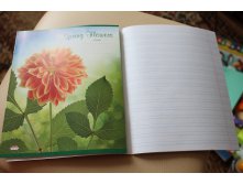 Узкая линия 12 л 8 р. 2 шт