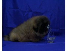 DSC04611.JPG