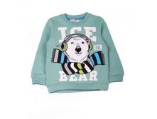  ICE BEAR  EU-1471_700 .