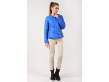 63330 василек 1870 р..jpg