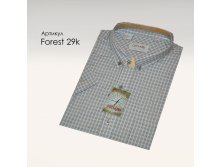 APT.Forest 29k.jpg