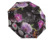 Zont-zhenskiy-2027-rainbrella-3-sl-avtomat-satin-butterfly 2.jpg