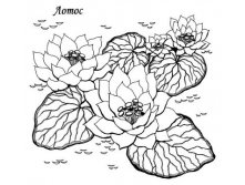 Coloring-pages-flowers-zezag-21s.jpg