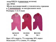 8186.jpg