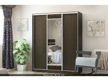 Шкаф-купе  13000р