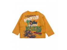 W13-3314 zolot-golub.jpg