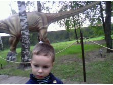 IMG0040A.jpg