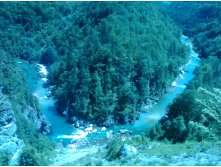 IMG 20160731 143930.jpg