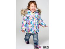    /  ! 8221  1580  - 80, 86, 92  . 