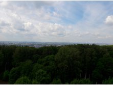 20160625 112840.jpg