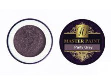   Master Paint Party Grey, 5 .-240 .jpg