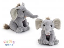 9937/WZ_   Wiki Zoo  / 16 _432  +%