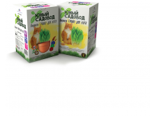 404_     _ 6 _275 +%