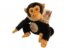 7582/WZ_  Wiki Zoo      5  / 20 _1111  +%