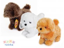 8447_  - , 3    21,5_887  +%