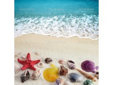 Depositphotos 6193790-Sea-shells-on-sand-beach.jpg