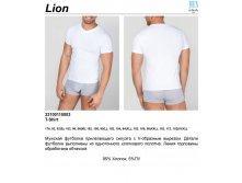 400,00 33100*110003	 . Lio*n 