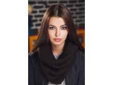 Layn  19 .1070