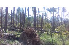 20160826 121924.jpg