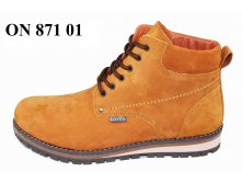 2550. ON 871 01