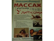 DSCF9223.JPG