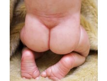 К пред.фото