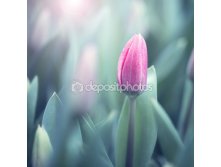 Depositphotos 72212623-Beautiful-soft-violet-color-blurred.jpg