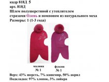 818Д5.jpg