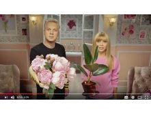 Фикус