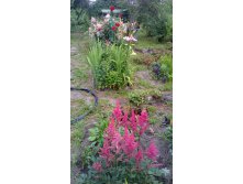 20160710 182415.jpg