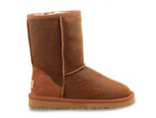  UGG Classic Short Bomber -   "" ( 36-40), , 5200